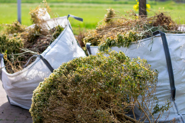 Best Trash Removal Near Me  in Ridgeway, AK